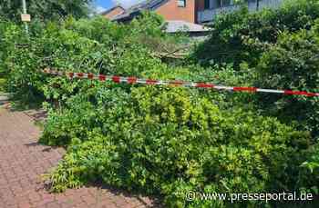 FW-Schermbeck: Sturmschaden am Ulmenweg