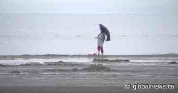 Receding water levels a concern for Gull Lake, Alta.