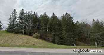 Murder charges laid after 18-year-old found dead near King, Ont. college campus