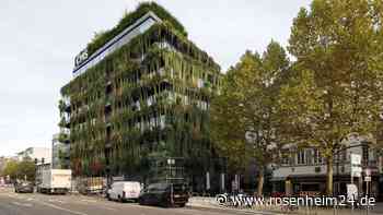 Hitze, Dürre, Wassermangel: Grünen-Ministerin will Städte zur Klima-Anpassung zwingen