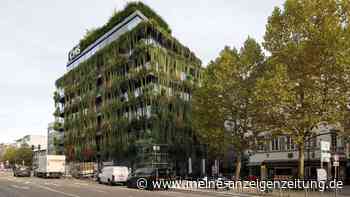 Hitze, Dürre, Wassermangel: Grünen-Ministerin will Städte zur Klima-Anpassung zwingen