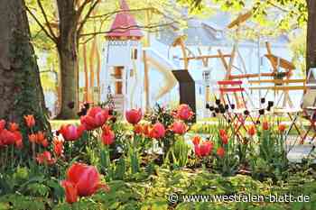 VHS-Wettbewerb: Das sind die schönsten Fotos von der Landesgartenschau