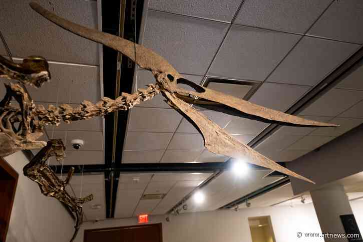 Sotheby’s to Auction Rare Pteranodon Skeleton, Estimated to Sell for $4 M.