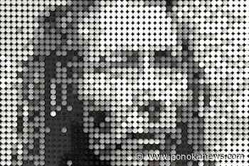 Ponoka Doctor’s Lego art showing at Red Deer’s Fort Normandeau