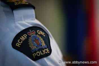 204 fraud charges laid against 3 after B.C. traffic stop uncovers documents