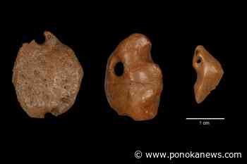 Humans lived among giant sloths 25,000 years ago: study