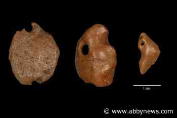 Humans lived among giant sloths 25,000 years ago: study