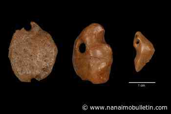 Humans lived among giant sloths 25,000 years ago: study