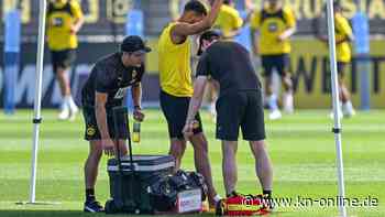 BVB: Fünf Profis verletzt – Edin Terzic gibt Update