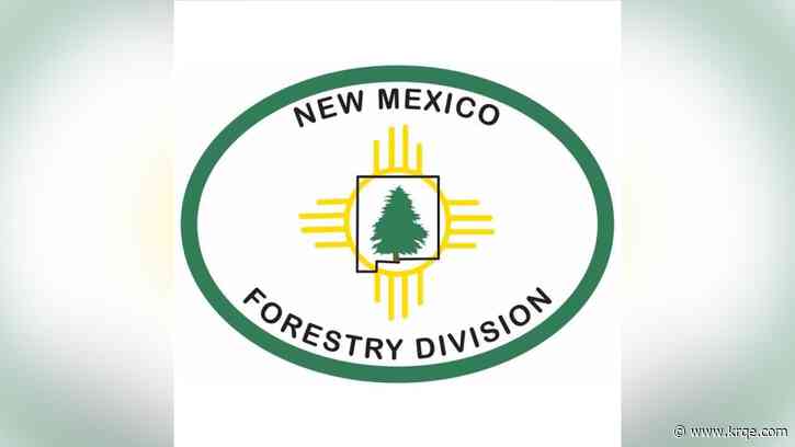 Forestry Division offering help for applicants of wildfire defense grants