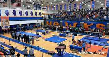 Dropped by the IHSA, boys gymnastics determined to persevere next season
