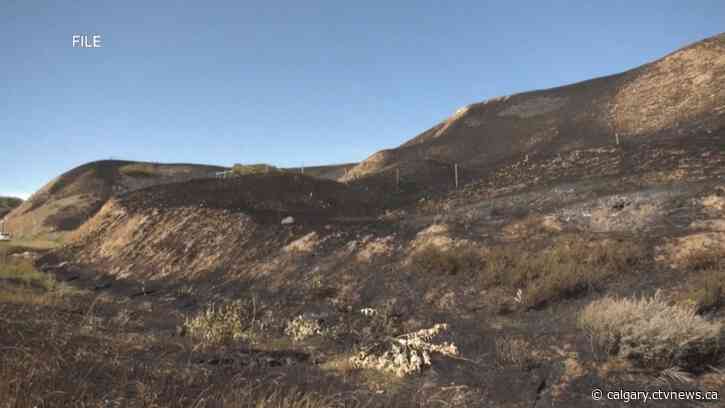 Grassfires still a risk in Lethbridge and region despite recent rainfalls
