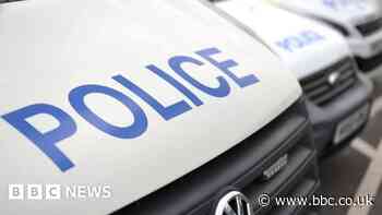 Teenager arrested after video appears to show cat cruelty