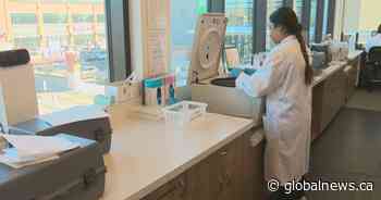 Growing risk of syphilis, HIV ahead of Country Thunder