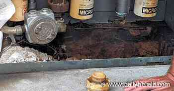 Up to 50 gallons of fuel spilled into ground and sewers from Rolling Meadows gas station