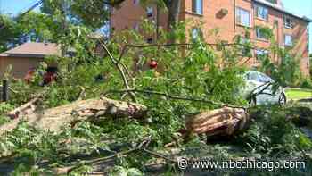 Yes, tornadoes in city of Chicago are rare, but they can happen