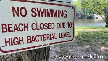 7 state swimming areas closed due to high bacteria levels