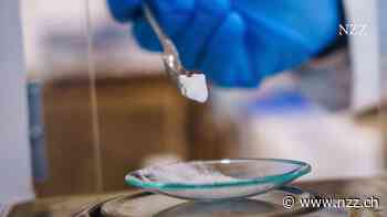 Lithiumrausch am deutschen Oberrheingraben: Der Countdown zum Start der ersten kommerziellen Produktion ist angelaufen