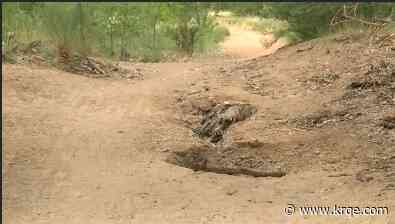 Damaged trails in Bosque due to high Rio Grande levels to be fixed by Albuquerque