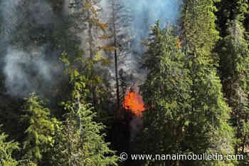 Wildfire burning on Mount Seymour in North Vancouver