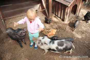 Disease Threat to People From Livestock