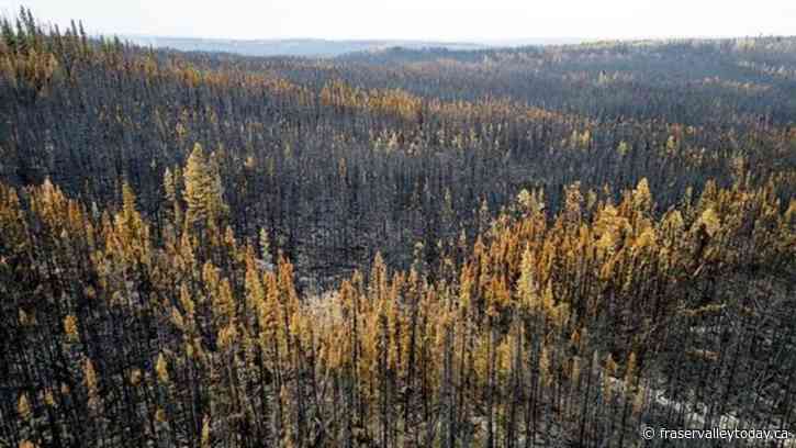 Drought update follows minister’s call for B.C. residents to conserve water