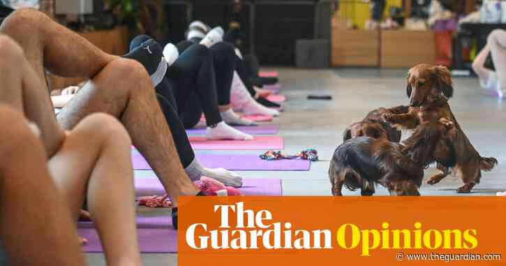 ‘Puppy yoga’ is on the rise – and as a dog welfare specialist, I’m horrified | Esme Wheeler