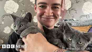 Woman nurses kittens after two-day rescue near Basingstoke