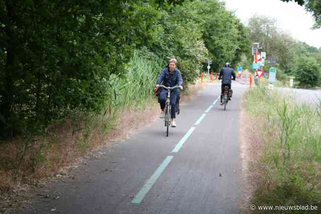 Procedures over vleermuizen sleepten drie jaar aan, maar nu zet provincie licht (deels) op groen voor verlichting fietspad in natuurgebied
