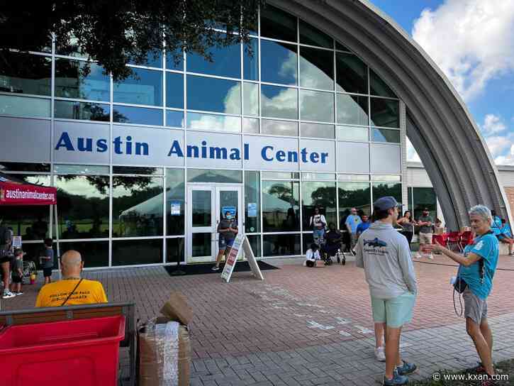 Austin shelters launch new push for fosters