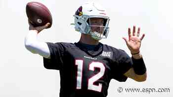 A dog can wait: Cardinals' Colt McCoy embraces return for 14th season