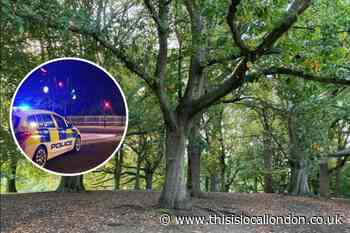 Met officer exposed himself on Hampstead Heath 'dogging spot'
