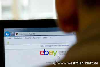 Jura-Student soll Ebay-Betrug ermöglicht haben