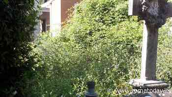 Il Comune svincola Ama dalla manutenzione dei cimiteri e il Verano soffoca nell'erba alta