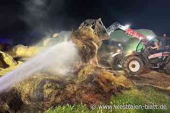 Borgentreich: Feuerwehr muss erneut Heulager in Natzungen löschen
