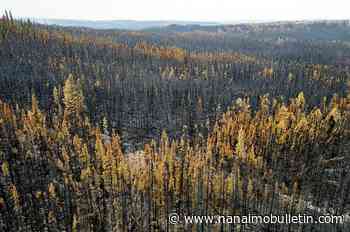 Drought update follows minister’s call for B.C. residents to conserve water