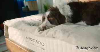 Watch the newest commercials from Avocado, Disney+, NBA 2K24 and more