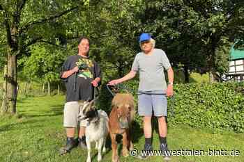 Werther: Pony und Ziege reißen aus