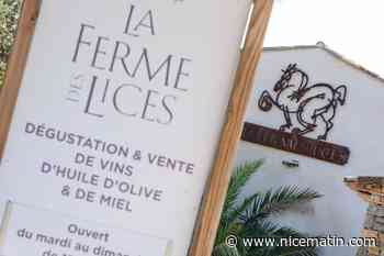 Un domaine viticole tropézien dans l’escarcelle de la holding Estoublon