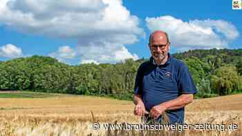 Mit der Gerste beginnt die Erntezeit im Kreis Wolfenbüttel