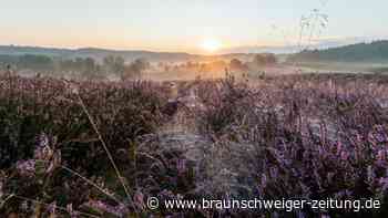 Sommerferien: 11 schöne Tagesausflüge in Niedersachsen