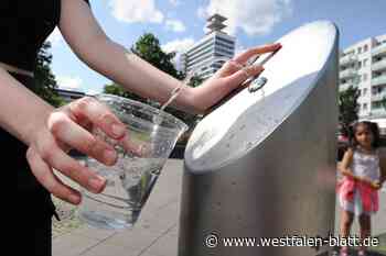 Bielefeld hilft Obdachlosen in der Hitze