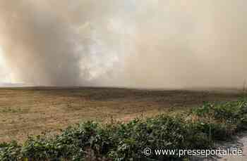 POL-PDLD: Knittelsheim - Feldbrand