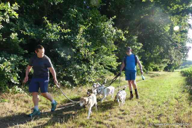 ZOMERREEKS. Chris en Gina doorkruisen de regio met een roedel beagles: “Elk jaar gaan we allemaal samen op vakantie met de camper”