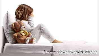 Missbrauchs-Prozess im Kreis Calw: Gutachter hält Rückfall des Angeklagten  für unwahrscheinlich