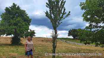 Anwohner und Verwaltung uneinig: Deshalb gibt es  Ärger um einen weiteren  Spielplatz in Oberhaugstett