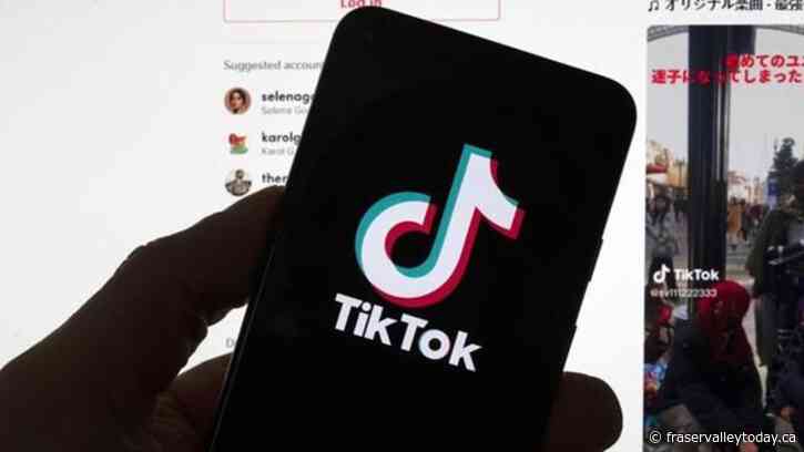 Feds doing ‘broader review’ of social media after banning TikTok from work devices