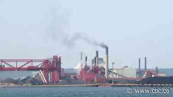 Breathing the air in parts of Hamilton is like smoking a cigarette a day, researcher says