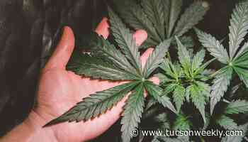 Terpenes: More flavor, more magic