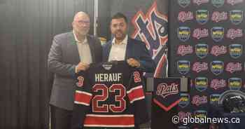 Brad Herauf announced as new head coach of Regina Pats